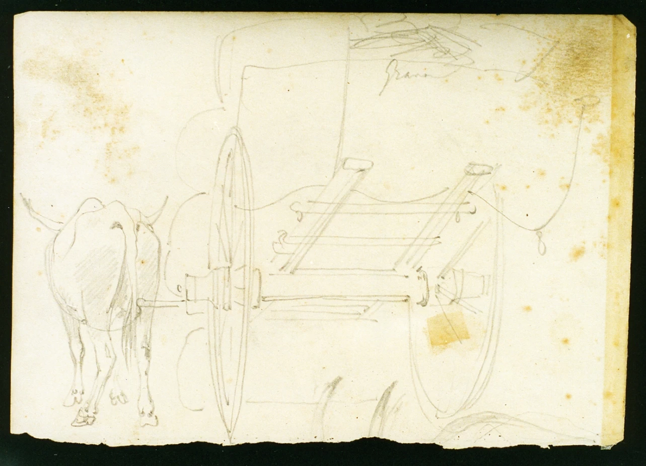 Carro con bue - Certosa e Museo Nazionale di San Martino, Napoli